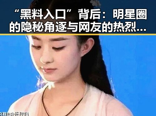 “黑料入口”背后:明星圈的隐秘角逐与网友的热烈讨论