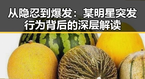 从隐忍到爆发:某明星突发行为背后的深层解读