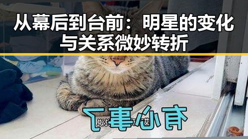 从幕后到台前：明星的变化与关系微妙转折