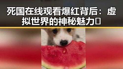 死国在线观看爆红背后：虚拟世界的神秘魅力🌐